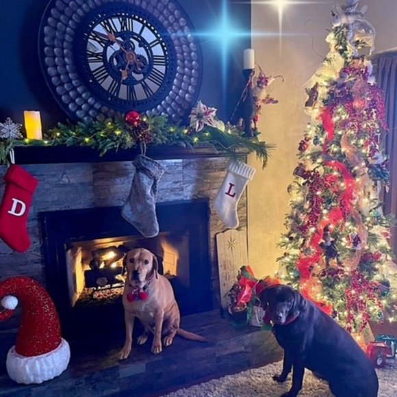 Meet your Posher, Feel Good Buys! - Picture 2 of 14